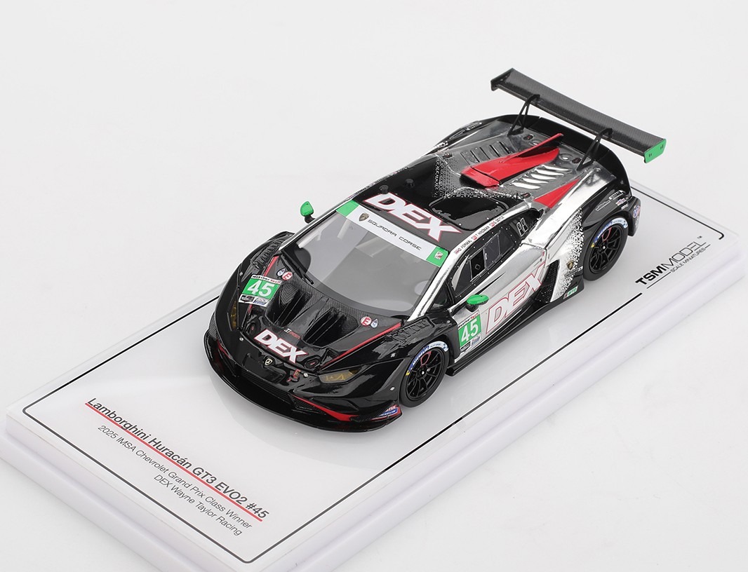 Lamborghini Huracan GT3 EVO2 #45 DEX Wayne Taylor Racing 2025 IMSA ...