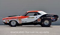 Muscle Cars