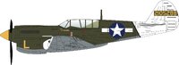 P-40N  8th FG/35th FS Papua New Guinea 1944 1:72